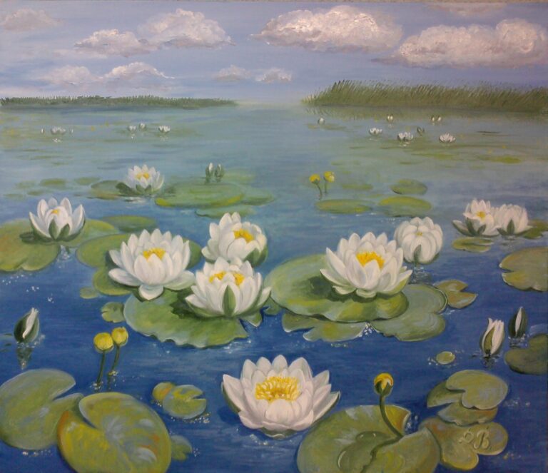 В плавнях Дніпра