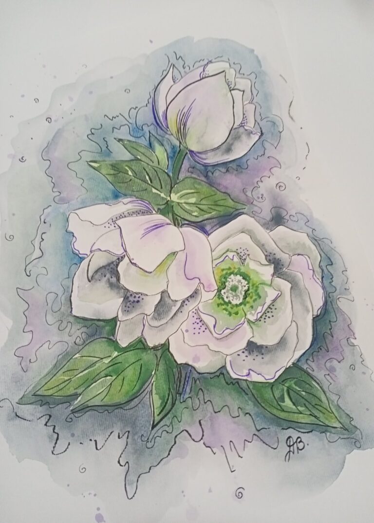 Морозник